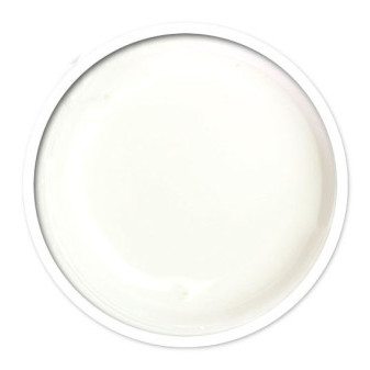 ANPRO Gel White 15ml