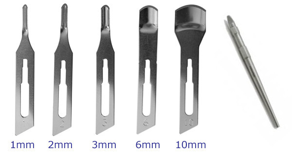 Paramount Chicken Eye Blade 1